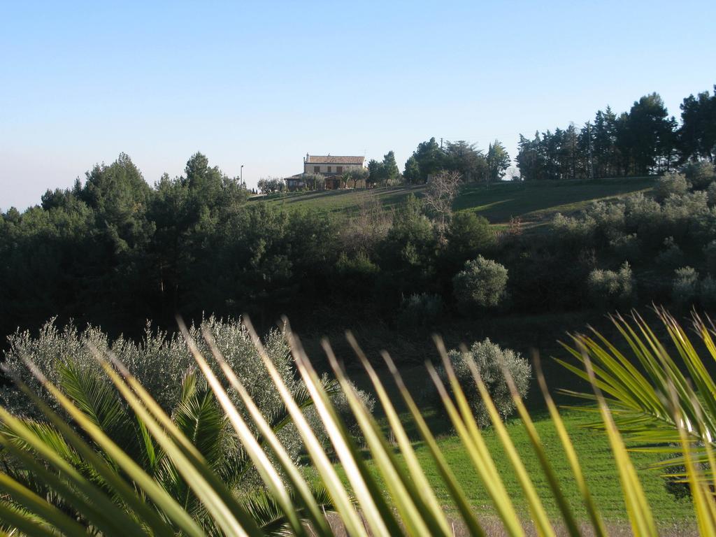 Briciola Di Sole Vendégház Grottammare Kültér fotó