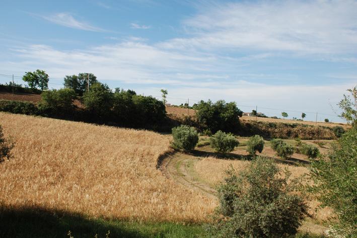 Briciola Di Sole Vendégház Grottammare Kültér fotó