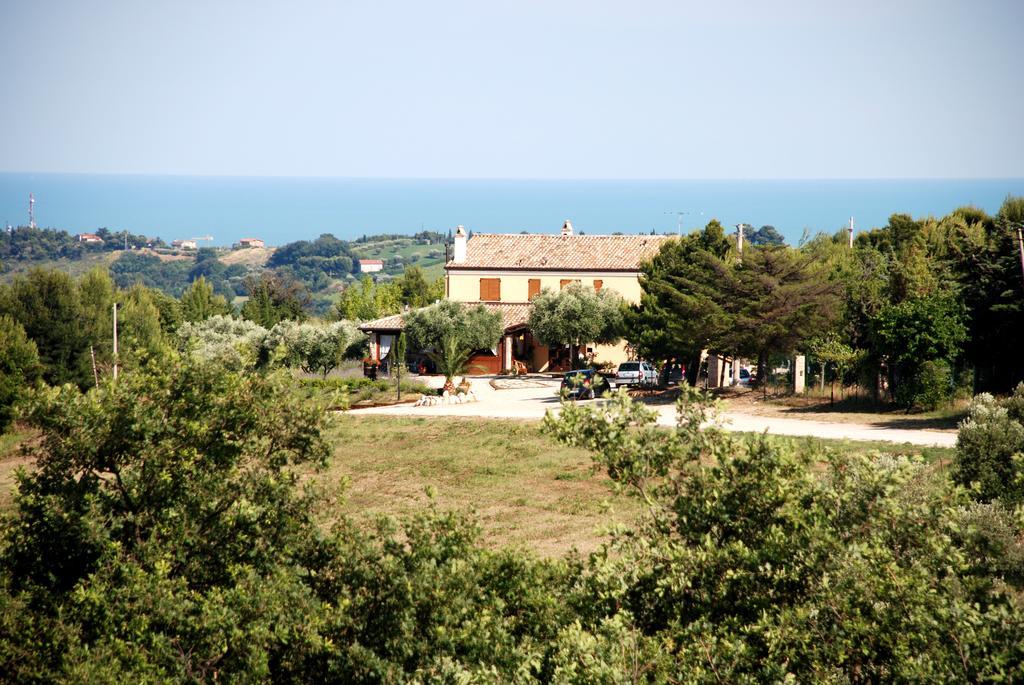 Briciola Di Sole Vendégház Grottammare Kültér fotó